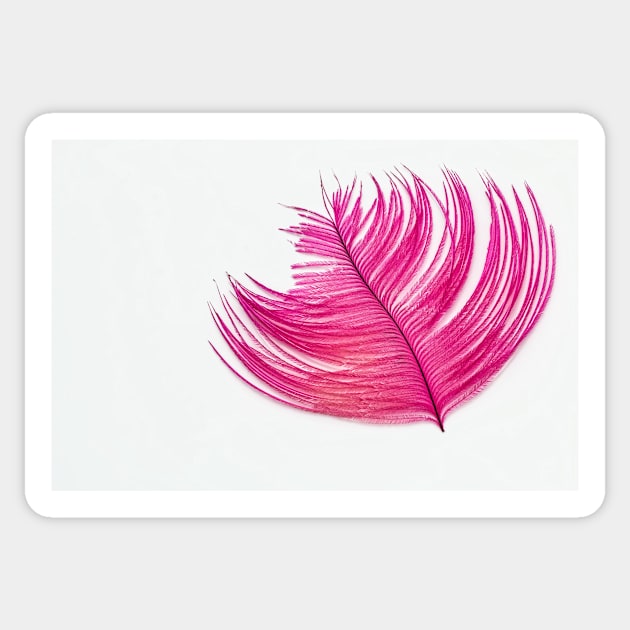 Pink Metallic Single Feather Sticker by SHWILDLIFE